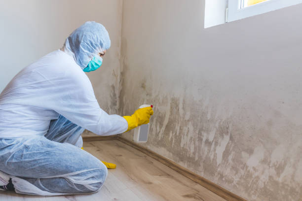 Crawl Space Mold Remediation treatment of floor joists in Delta
